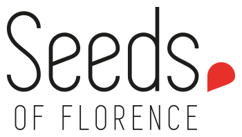 Seeds of Florence